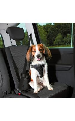 bilsele for hund